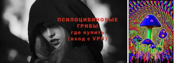 ПСИЛОЦИБИНОВЫЕ ГРИБЫ Михайловск