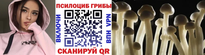 Галлюциногенные грибы GOLDEN TEACHER  хочу   blacksprut как зайти  Нея 